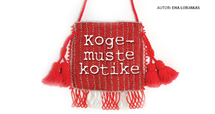 Kogemuste kotike - november 2009 (26.01.2010)