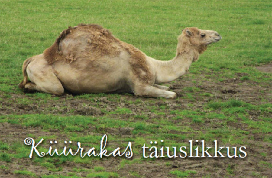 K��rakas t�iuslikkus (22.06.2009)